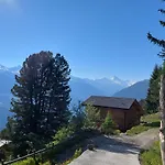 De L'ours * ليه كولون