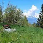 De L'ours فندق ليه كولون