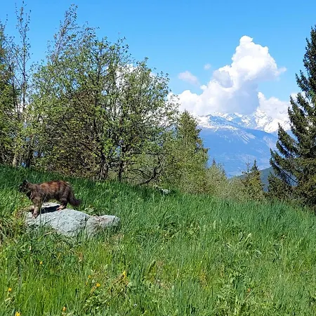 De L'ours Hotel Les Collons